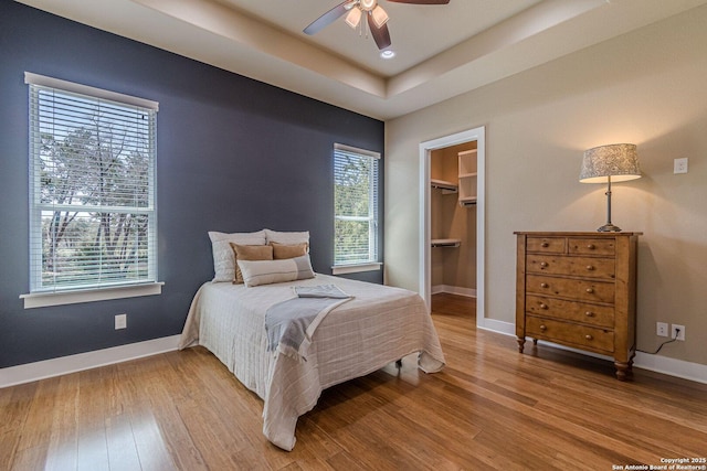 bedroom with wood finished floors, baseboards, ceiling fan, a walk in closet, and a raised ceiling