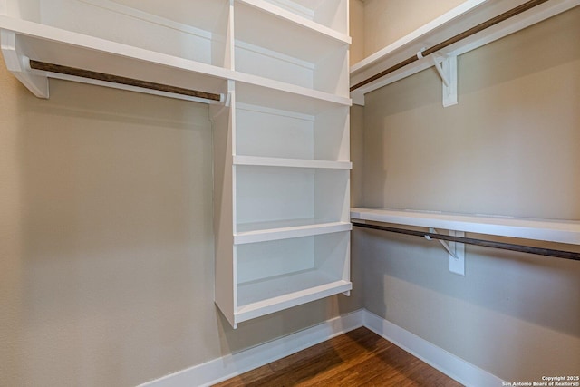 spacious closet featuring dark wood-style floors