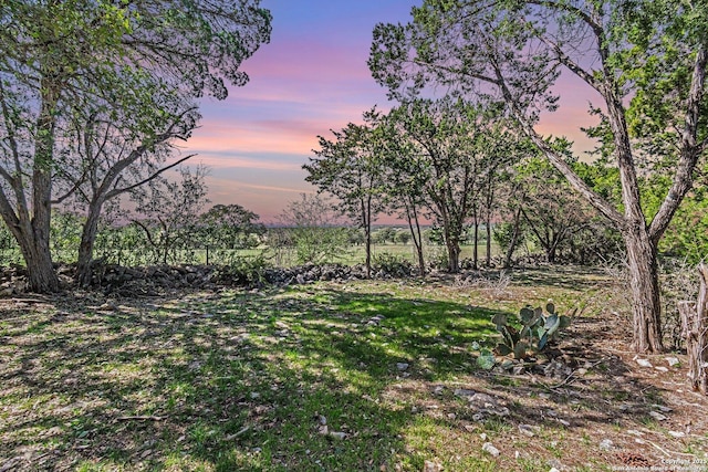 view of yard at dusk