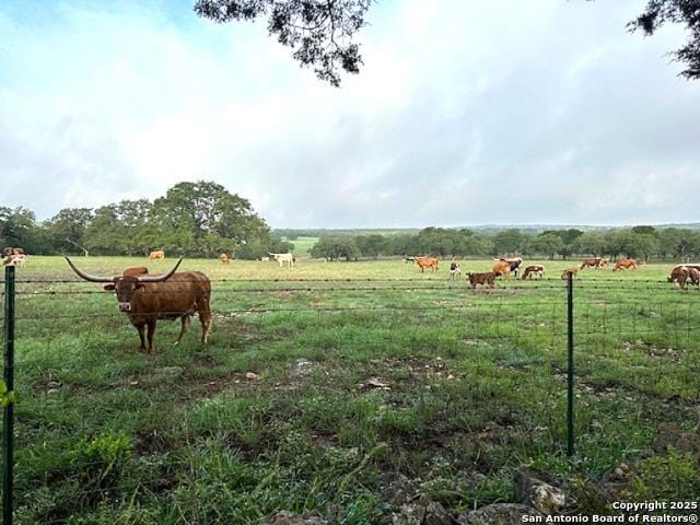 view of yard featuring a rural view