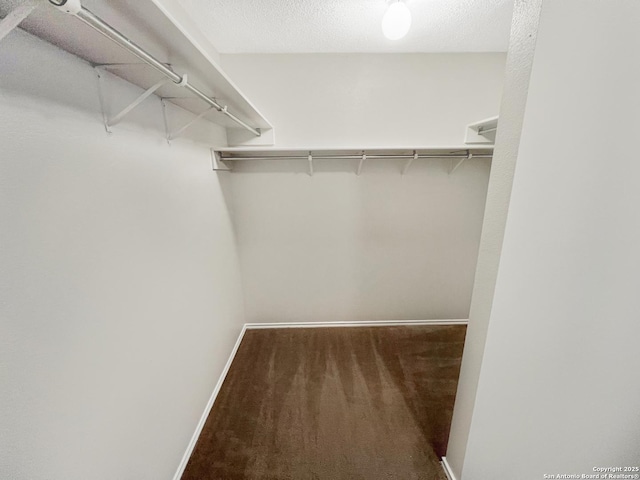 spacious closet with carpet