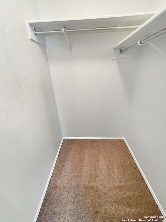 walk in closet featuring carpet