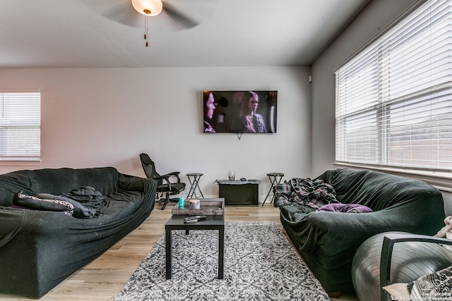 living room with light wood-style floors and ceiling fan