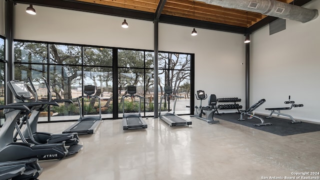 exercise room featuring a wealth of natural light