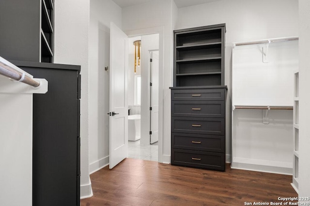 walk in closet featuring dark wood-style flooring