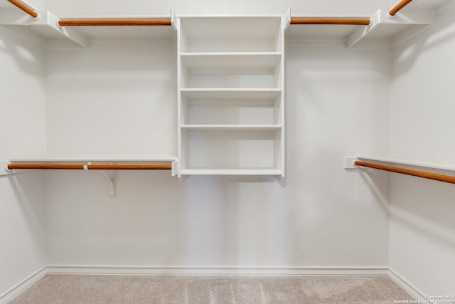 spacious closet with carpet floors