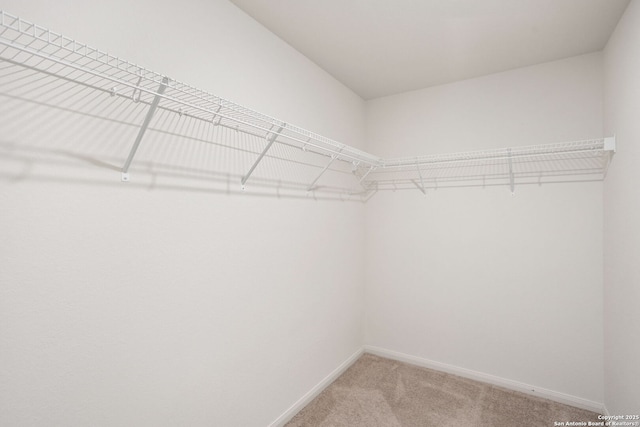 walk in closet featuring light colored carpet