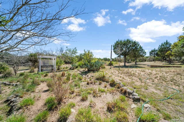 view of yard featuring a pergola