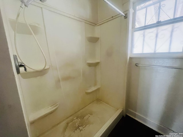 bathroom with a wealth of natural light and a shower stall