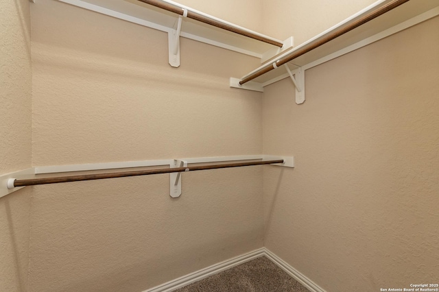 spacious closet featuring carpet floors