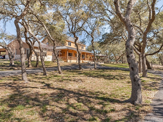 view of yard with covered porch