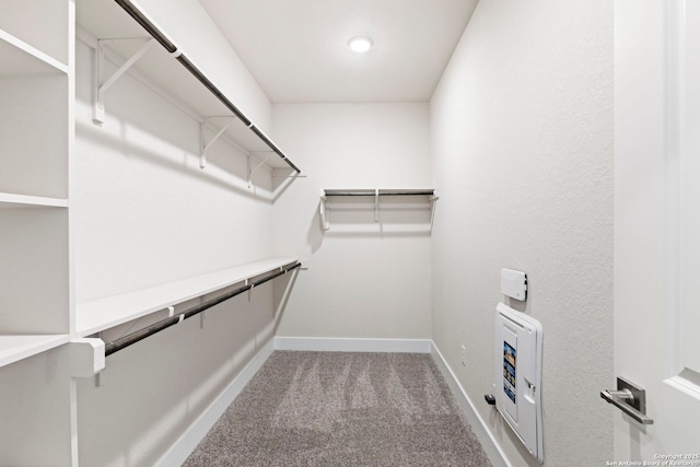 walk in closet with heating unit and carpet