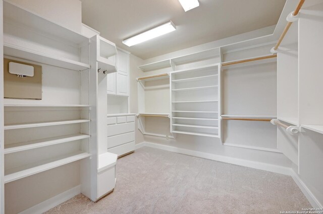 spacious closet with light colored carpet