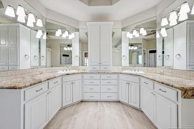 bathroom with vanity, wood finished floors, and a ceiling fan