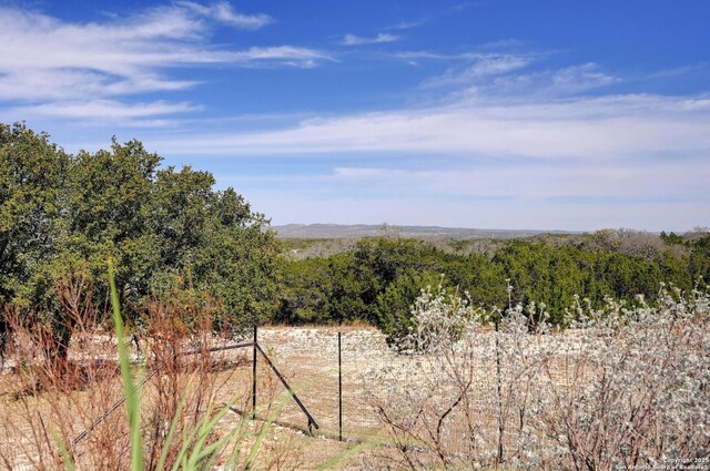 view of local wilderness