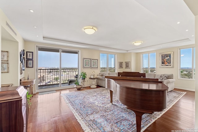 interior space featuring a raised ceiling, wood finished floors, and access to exterior