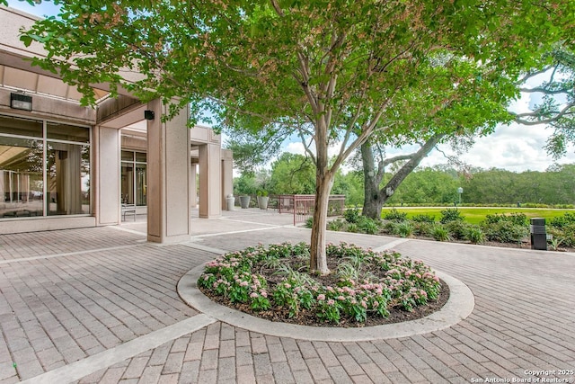 view of community with a patio area