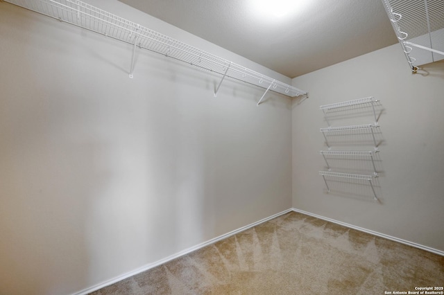 spacious closet featuring carpet floors