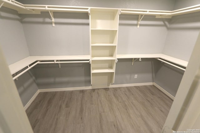 walk in closet with wood finished floors