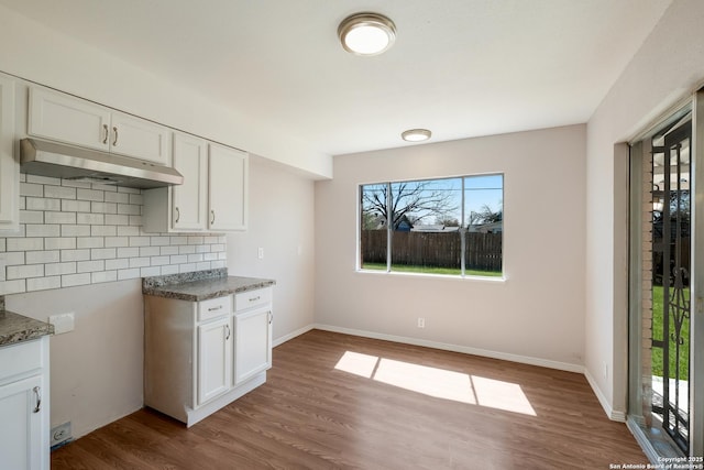 kitchen featuring under cabinet range hood, decorative backsplash, white cabinetry, and wood finished floors