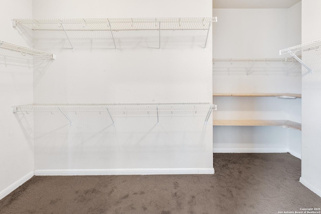 spacious closet with carpet floors