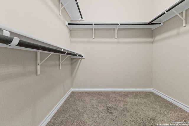 spacious closet with carpet