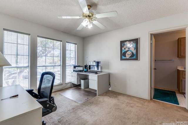 office area featuring light colored carpet, a textured ceiling, and a ceiling fan