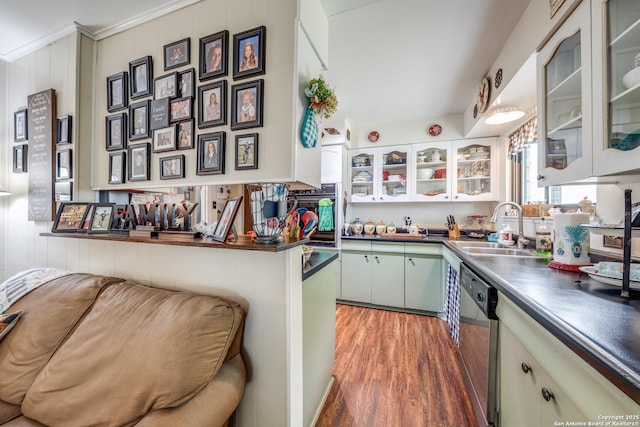 kitchen with dark countertops, wood finished floors, stainless steel dishwasher, and a sink