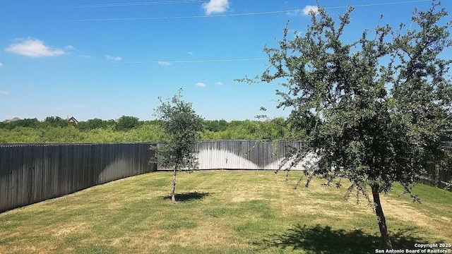 view of yard featuring a fenced backyard