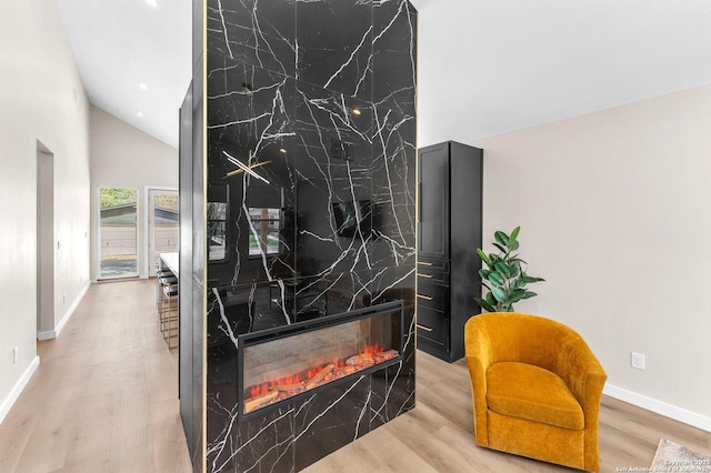 room details featuring a premium fireplace, baseboards, and wood finished floors