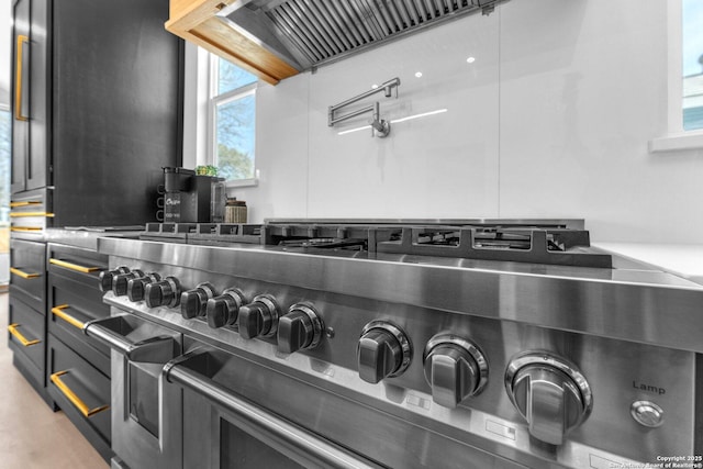 interior details featuring double oven range and custom exhaust hood