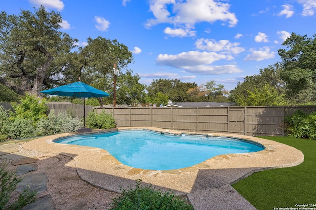 view of pool featuring a fenced in pool and a fenced backyard