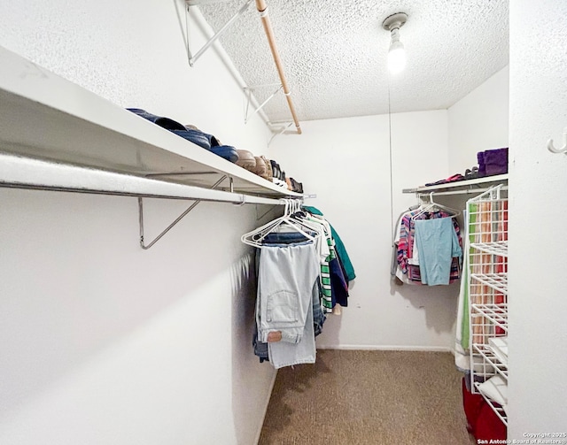 walk in closet with carpet floors