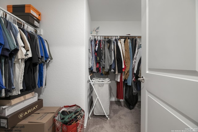 walk in closet with carpet