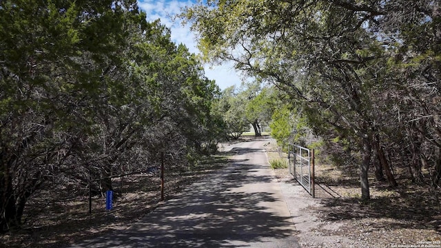 view of street featuring a gated entry, driveway, and a gate