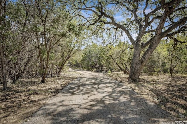 view of road featuring a forest view