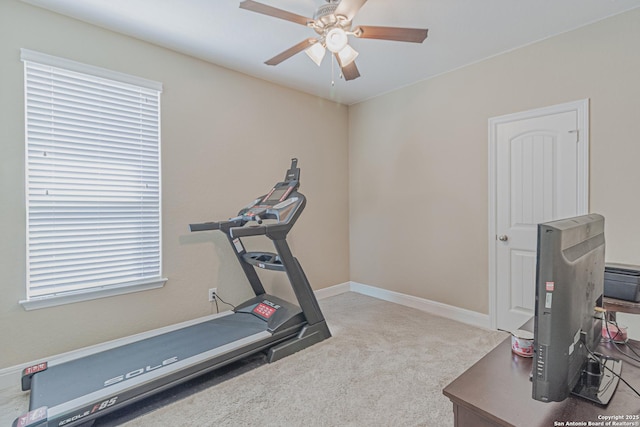 exercise area featuring carpet, baseboards, and ceiling fan