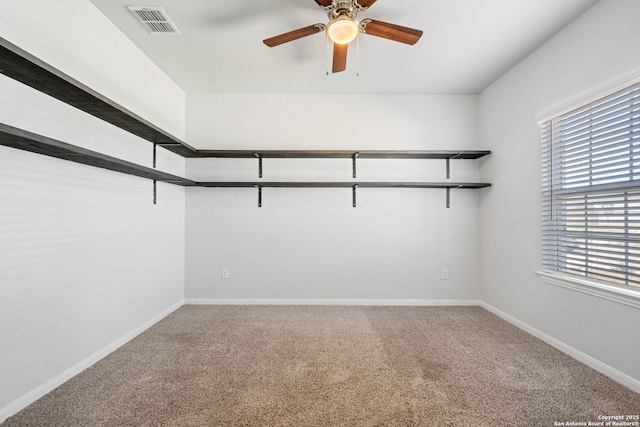 walk in closet featuring visible vents, a ceiling fan, and carpet floors