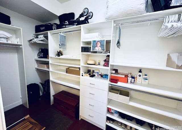 view of spacious closet