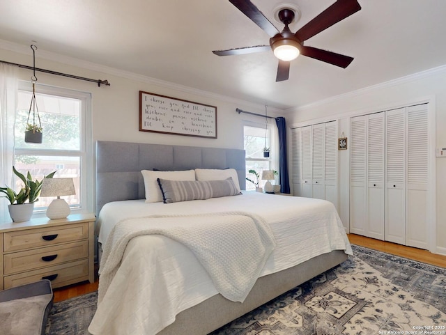 bedroom with wood finished floors, multiple closets, and ornamental molding