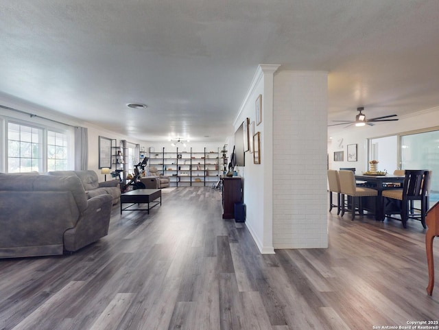 living room with dark wood finished floors, visible vents, crown molding, and ceiling fan