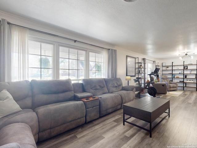 living area with light wood finished floors, a textured ceiling, and crown molding