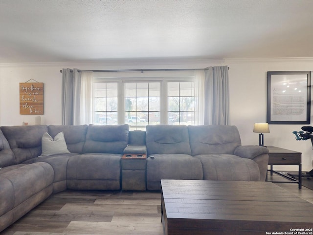 living area featuring wood finished floors, a textured ceiling, and ornamental molding