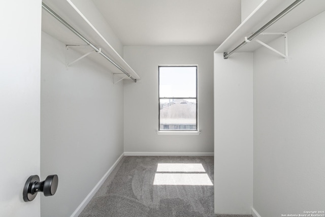 spacious closet with carpet floors