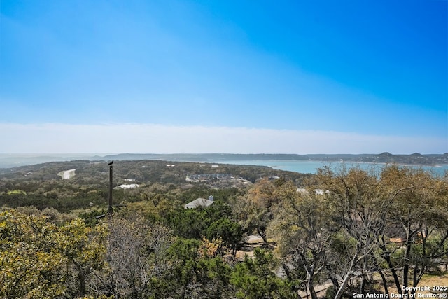 301 Vip Dr, Canyon Lake, TX 78133 - view of water feature with a forest view