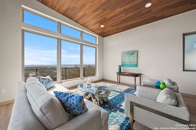 301 Vip Dr, Canyon Lake, TX 78133 - living room with baseboards, lofted ceiling, wood ceiling, and wood finished floors