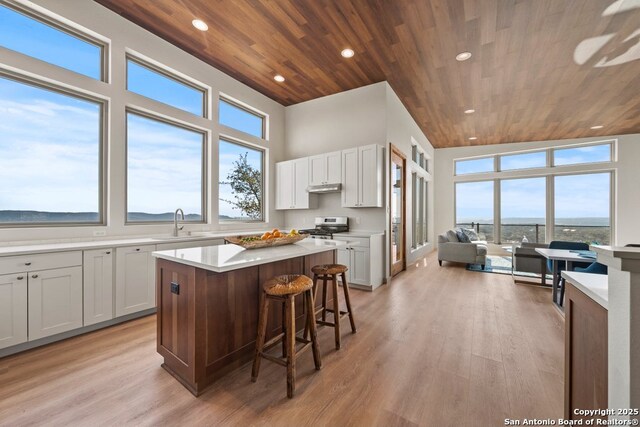 301 Vip Dr, Canyon Lake, TX 78133 - kitchen featuring under cabinet range hood, a breakfast bar area, light countertops, wood ceiling, and stainless steel range with gas stovetop