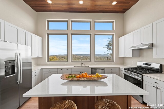 301 Vip Dr, Canyon Lake, TX 78133 - kitchen with light stone countertops, under cabinet range hood, wood ceiling, stainless steel appliances, and a sink