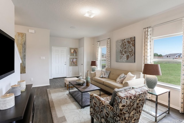 9303 Graze Land Dr, San Antonio, TX 78211 - living area featuring baseboards, wood finished floors, and a wealth of natural light