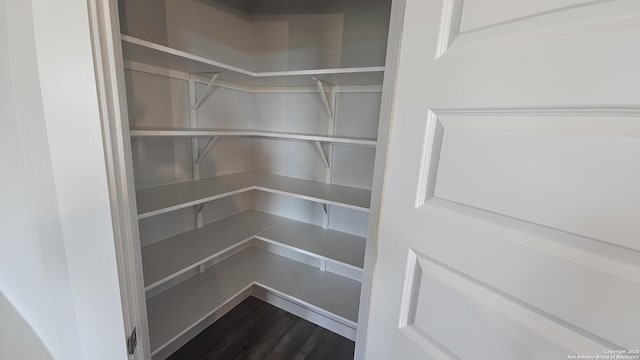 14710 Prairie Clover, San Antonio, TX 78253 - view of pantry